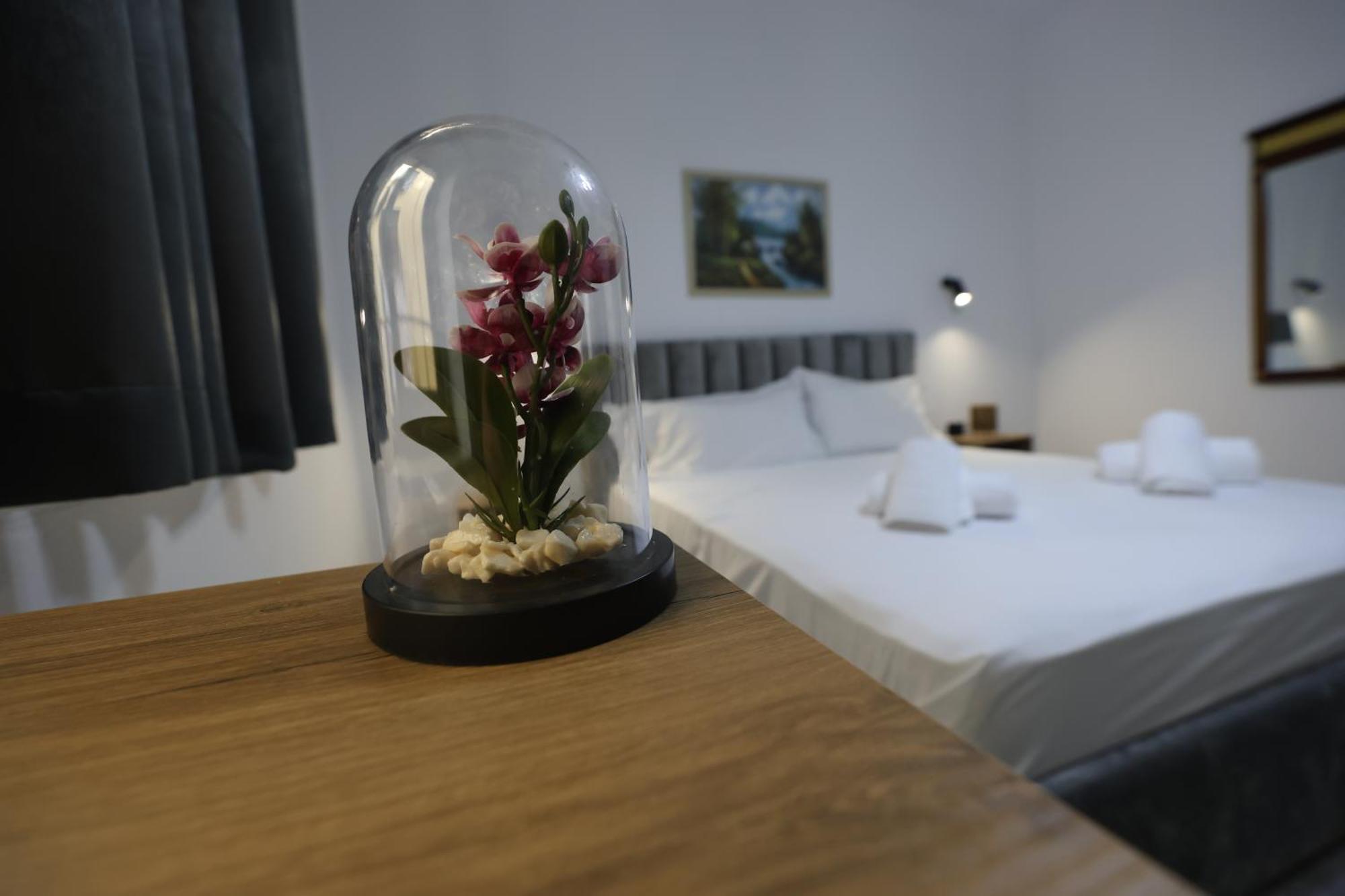 Vila Alizee Hotel Tirana Extérieur photo